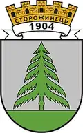 Wappen von Storoschynez