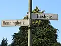 Der Straßenname Tiesholz, bedeutet genauso wie Tieslund: Wald des Ties.