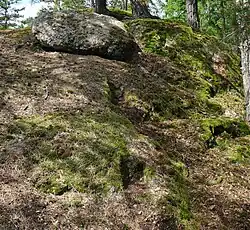 Detail 2 rechteckige Einstemmungen. 2023