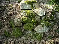 Detail Mauerreste. 2012