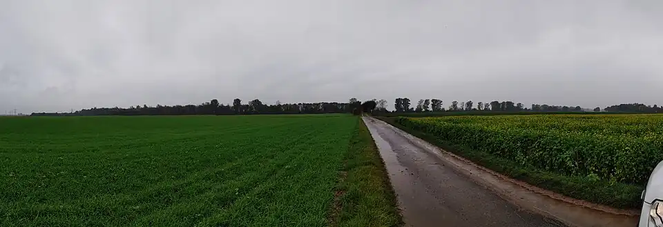 Der „Bahndamm“ in Tieflage am Ramrather Weg