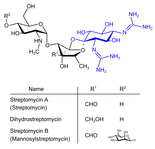 Strepotomycine (blau: Streptidinstruktur)