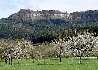 Blick von den Streuobstwiesen bei Weilstetten auf das Lochenhörnle (952,8&nbsp;m&nbsp;ü.&nbsp;NHN)