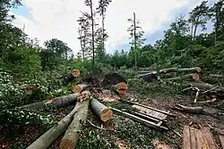 Schäden an der Ruppiner Chaussee am 28. Juni 2025