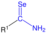 Allgemeine Struktur von primären Selenoamiden
