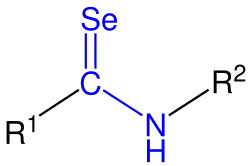 Allgemeine Struktur von sekundären Selenoamiden