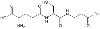 Strukturformel von Homoglutathion