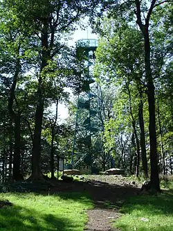 Der Kaltenberg-Gipfel mit Aussichtsturm (2010)