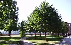 Blick durch den als Touristenziel eingerichteten Stückgarten