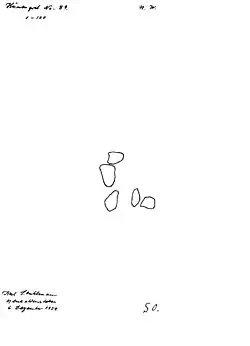 Grundriss nach Stuhlmann