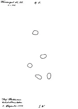 Grundriss nach Stuhlmann