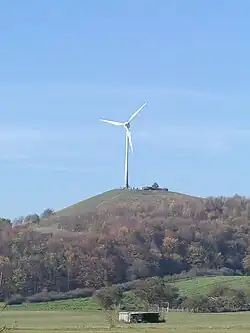 Der „Grüne Heiner“ im Herbst