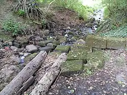 Relikte der Schleusentreppe „Pastorenschlucht“ in Sülfeld.