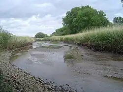 Priel bei Niedrigwasser