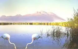 Sultansazlığı-Nationalpark