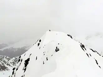 Gipfel des Älplihorns vom Süden gesehen.