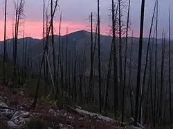 Sonnenuntergang in der Frank Church–River of No Return Wilderness