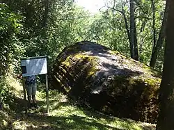 Findling von Surcasti