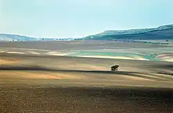 Die typischen Schwarzerdeböden der Bălți-Steppe