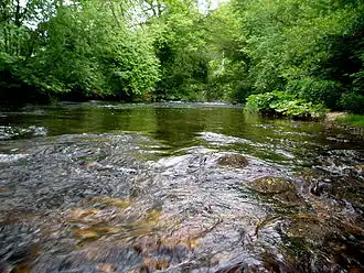 Schüss bei La Heutte