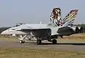 Fl&nbsp;St&nbsp;11 F/A-18C J-5011 Tigers