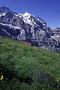 Blick auf einen Pendel­zug BDhe 4/8 von der Station Eiger­gletscher kommend
