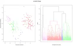 Daten und Dendrogramm für das Complete-linkage-Verfahren.