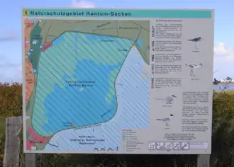 Infotafel zum Rantumbecken
