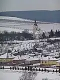 Baktakék im Winter