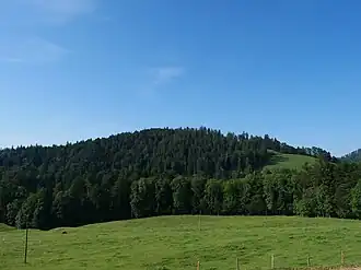 Der Tössstock von der Boalp aus betrachtet.