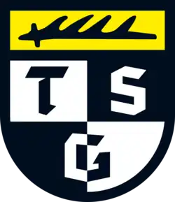 Vereinswappen der TSG Balingen