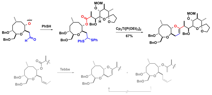 Totalsynthese Ciguatoxin