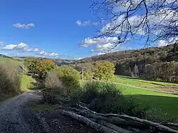 Tal der Lindlarer Sülz bei Bühlstahl