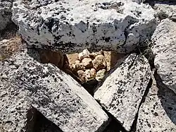 Innenseite der Öffnung