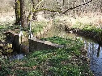 Wehr Tappert – nach links Zulauf zum Hohlmühlweiher