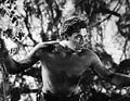 Johnny Weissmuller im Film Tarzan, der Affenmensch (1932)
