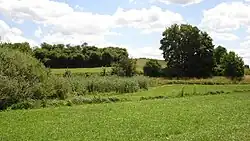 Bachlauf der Taubensemme (2020)