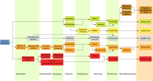 Verarbeitungsstufen der sechs Teearten