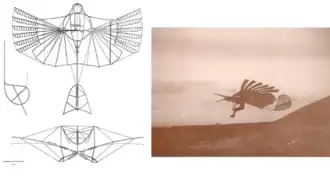 Kleiner Schlagflügelapparat