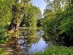 Teich in Buscherhof