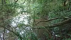 Sammelteich in unmittelbarer Nähe der Quelle