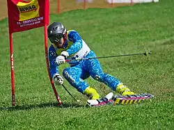 Tetsuya Yashima im Riesenslalom der WM 2009