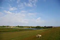 Blick auf De Cocksdorp