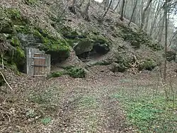 Felsen mit Felskeller