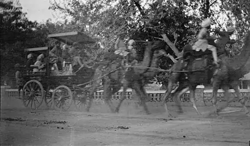 Camel drawn cart on streets of one of the Indian cities