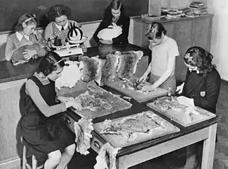 Englische Mädchen spannen Kaninfelle während des Zweiten Weltkriegs