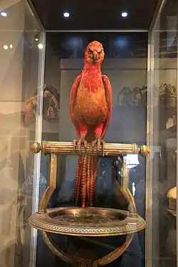 Farbfotografie von einer roten Vogelfigur in einer Vitrine. Er sitzt mit seinen großen Greifarmen auf einer goldenen Stange, die an einer Schale befestigt ist. Er hat einen kräftigen Körper und lange Federn. Durch die Spiegelung ist der Hintergrund schlecht zu erkennen.