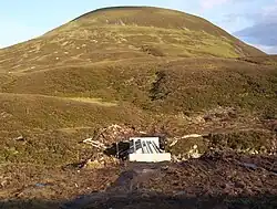 The Sow of Atholl von Osten