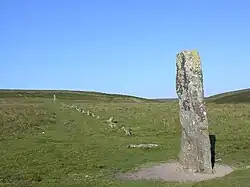 Steinreihe von Drizzlecombe