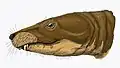 Theriognathus